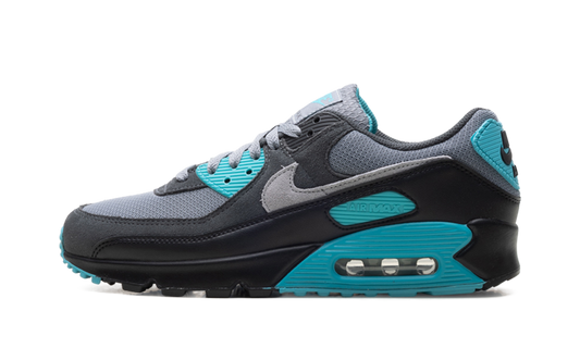 Air Max 90 "Dusty Cactus" DM0029 013