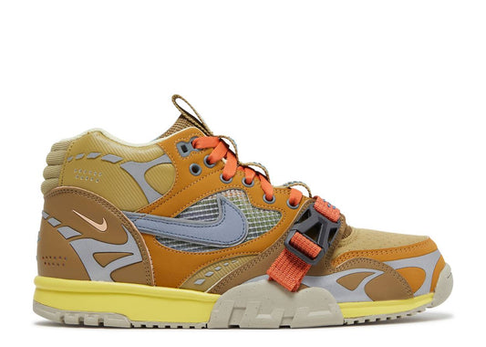 Air Trainer 1 SP Coriander