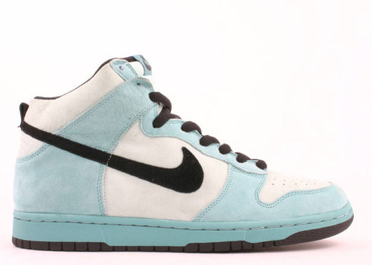Dunk High Sea Crystal (WORN)