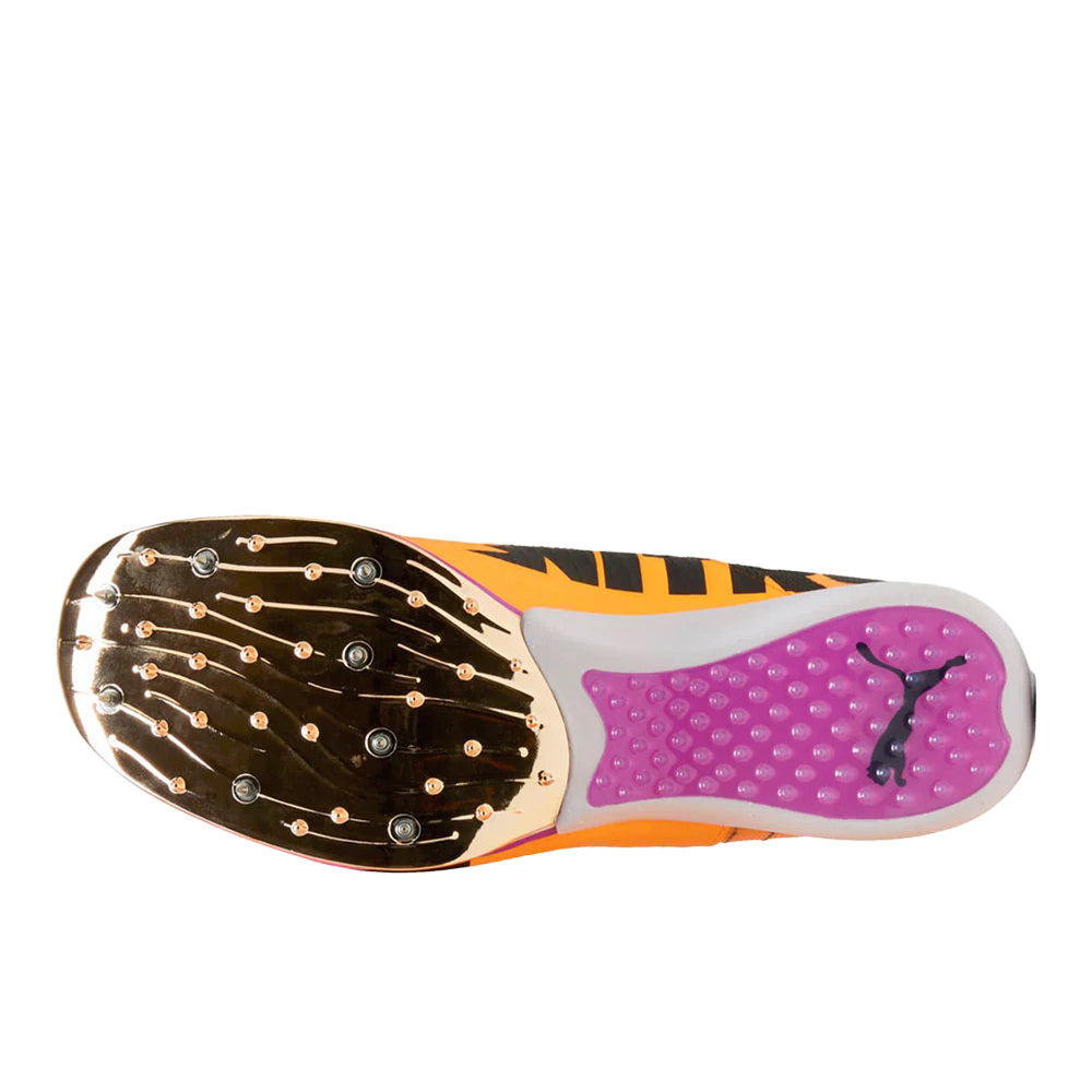 Evospeed Triple Jump NITRO Elite Running Shoes