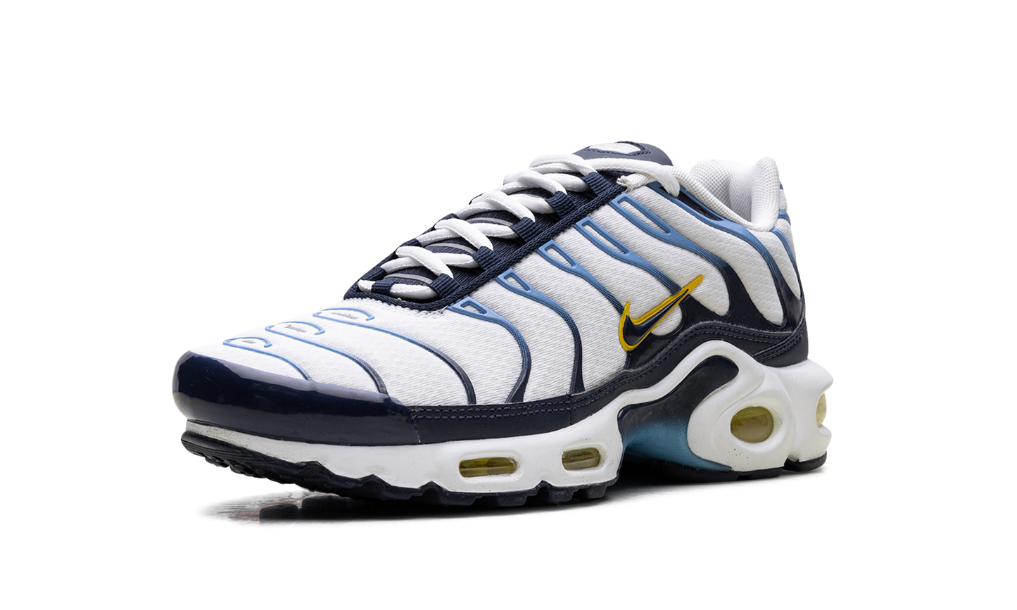 Air Max Plus CT1094 100