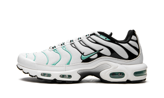 Air Max Plus "Atmos" 604133 148