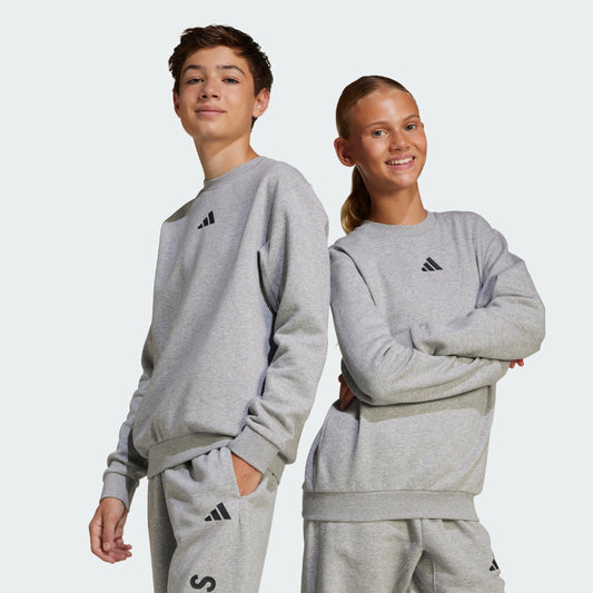 Kids' adidas J All Season GFX Pant