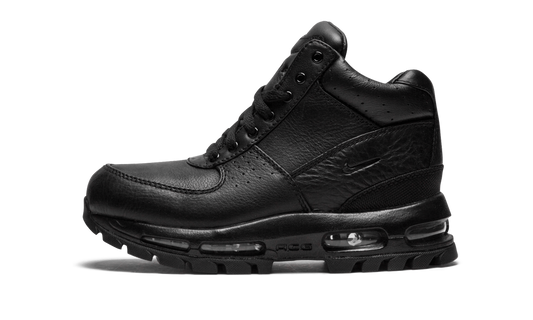 Air Max Goadome (GS) 311567 001