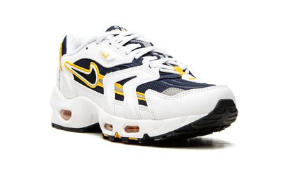 Air Max 96 2 "Goldenrod" CZ1921 100