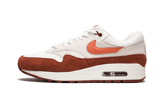 Air Max 1 AH8145 104