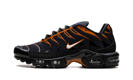 Air Max Plus "OBSIDIAN MONARCH" FN6949 400