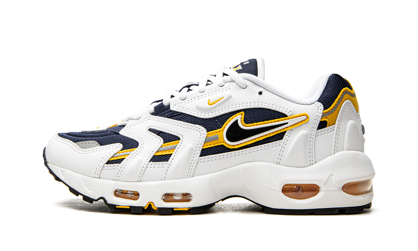 Air Max 96 2 "Goldenrod" CZ1921 100
