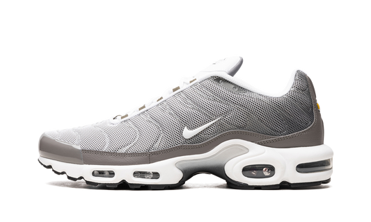 Air Max Plus SE "Flat Pewter" DV7665 002